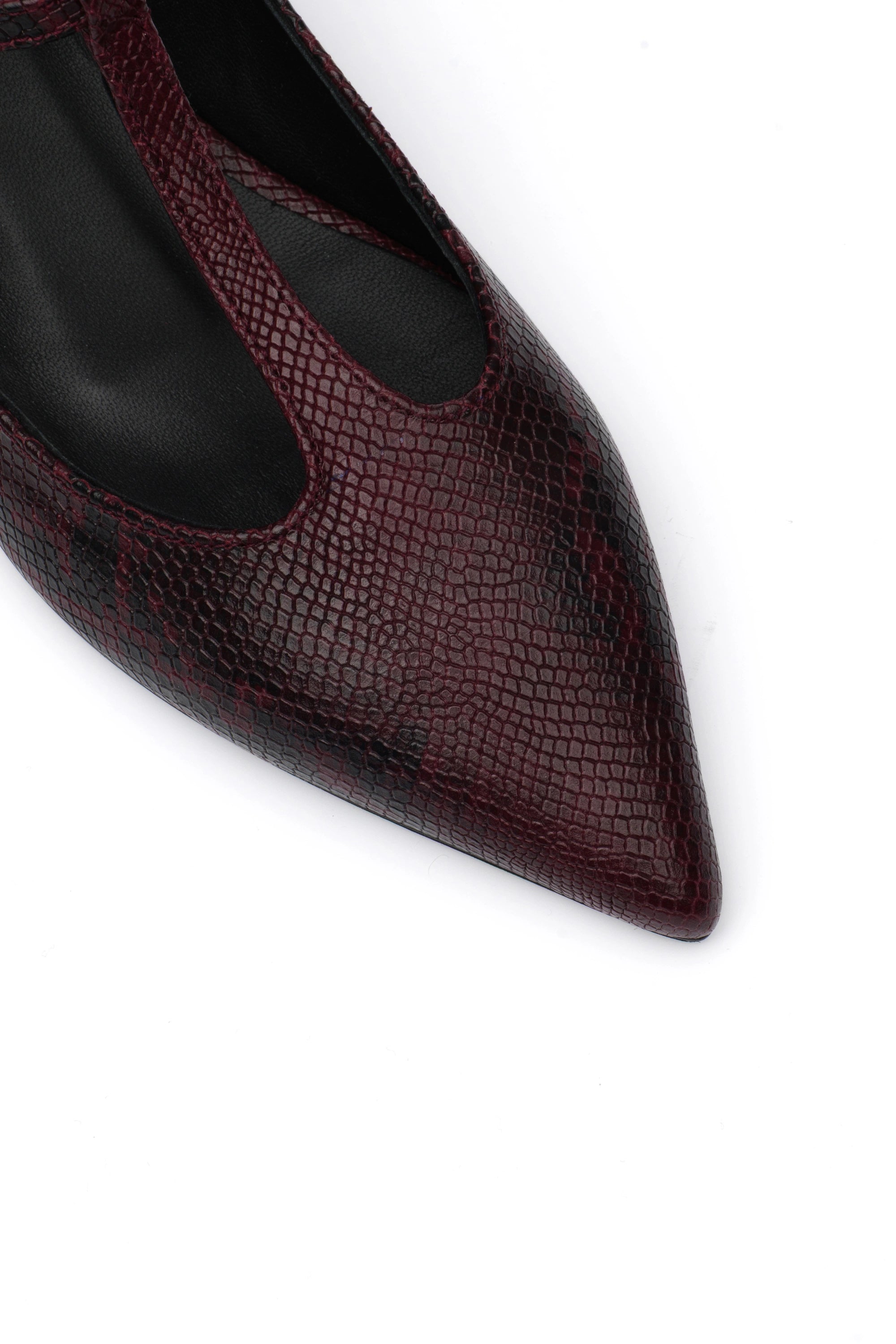 RILEY PITONE BORDEAUX